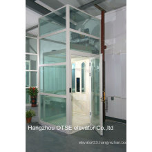 OTSE small single person elevator with glass shaft